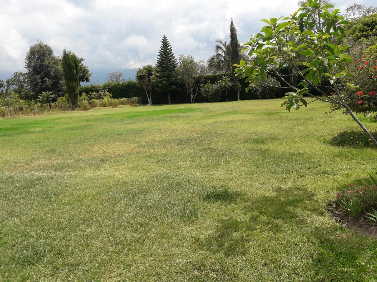 ホテル Quinta La Gardenia Puembo エクステリア 写真