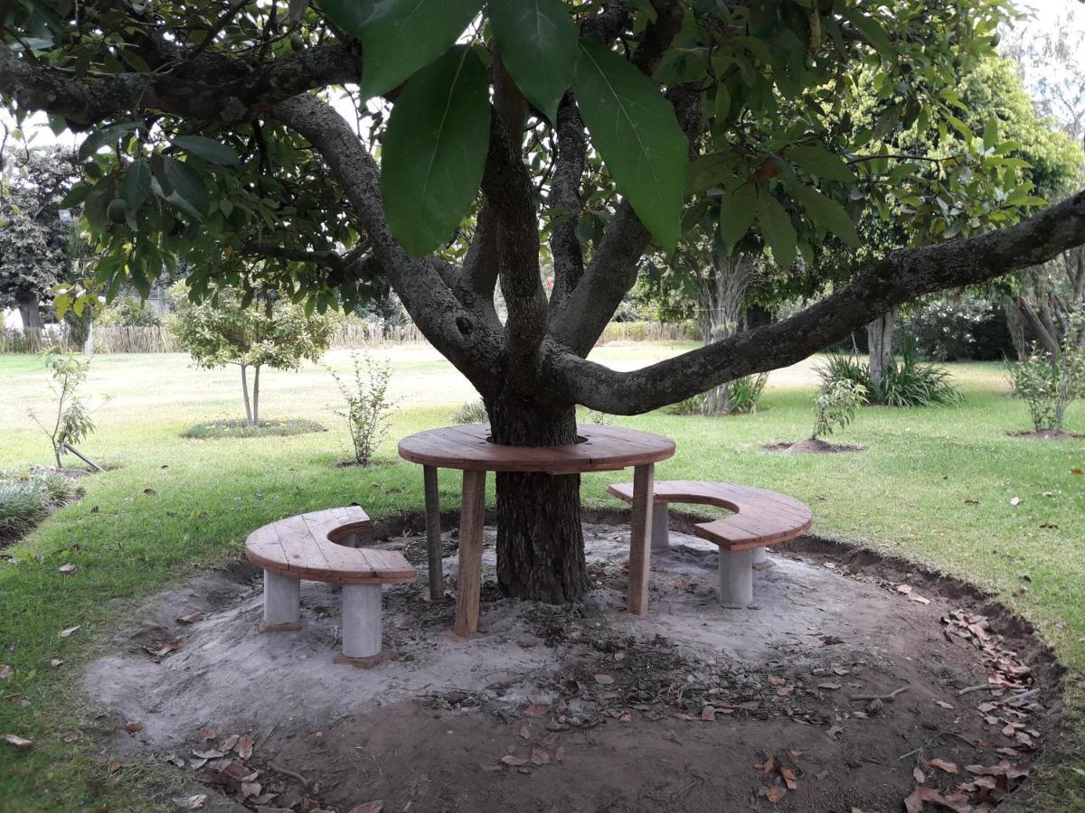 ホテル Quinta La Gardenia Puembo エクステリア 写真